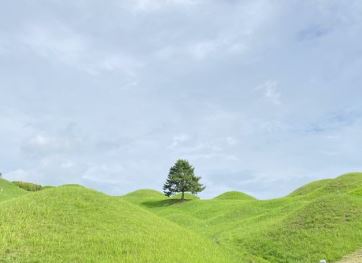 대구불로동고분군