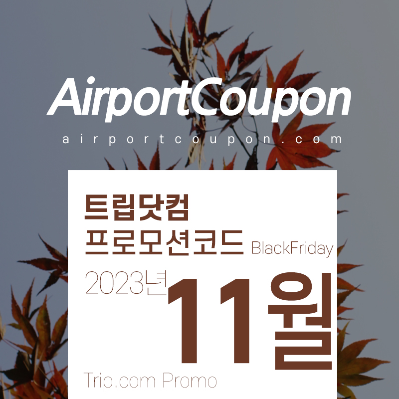 트립닷컴 11월 할인코드 11.11 트립 세일 페스타 프로모션 신라스테이 5만원 특가 Trip.com Promo 2023