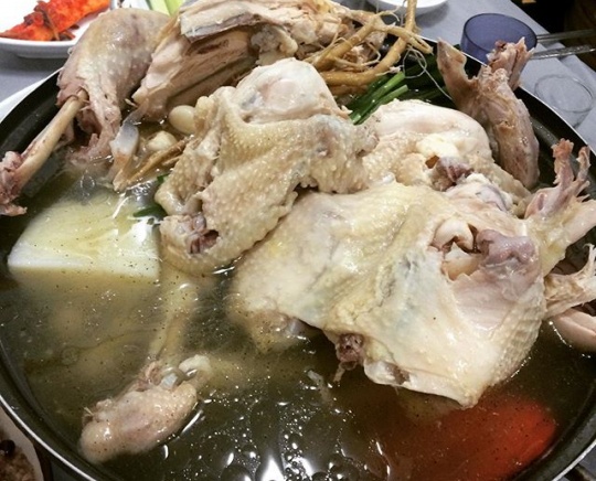 강서구 염창동 토종닭 '유림'