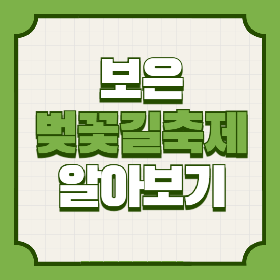 보은벚꽃길축제