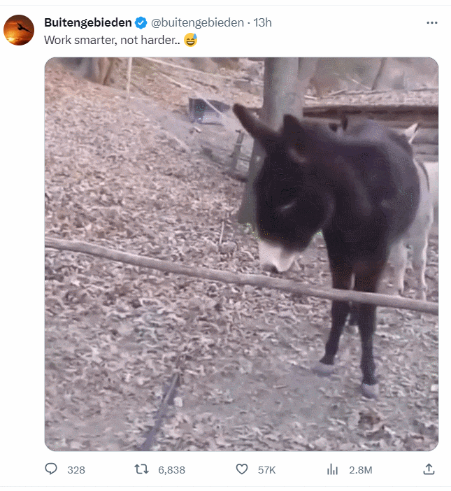 [Animal] Thank you.. ㅣWork smarter, not harder