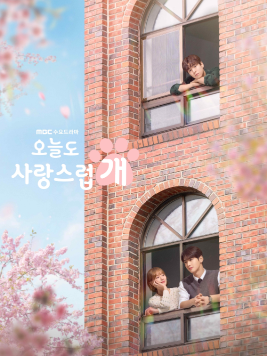 오늘도 사랑스럽개 정리