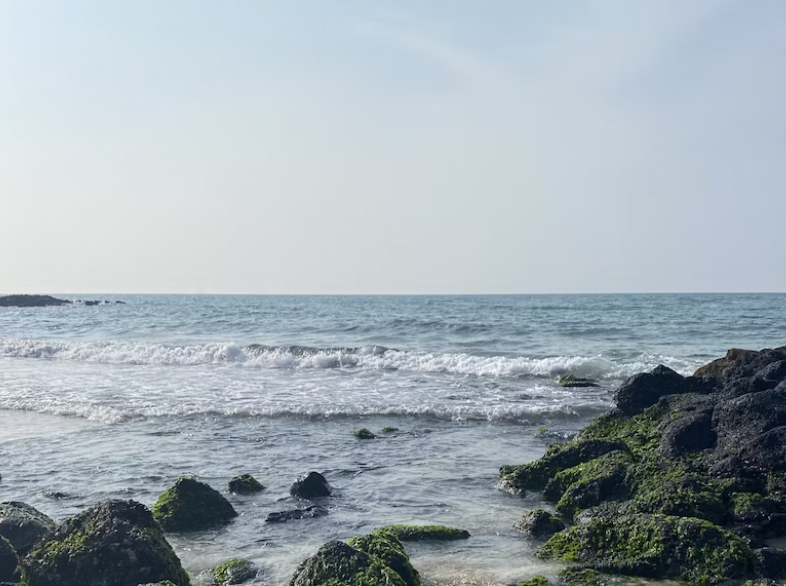 제주도 배편 차량요금
