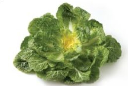 봄 제철 음식 식재료 봄동