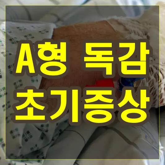 a형 독감 초기증상