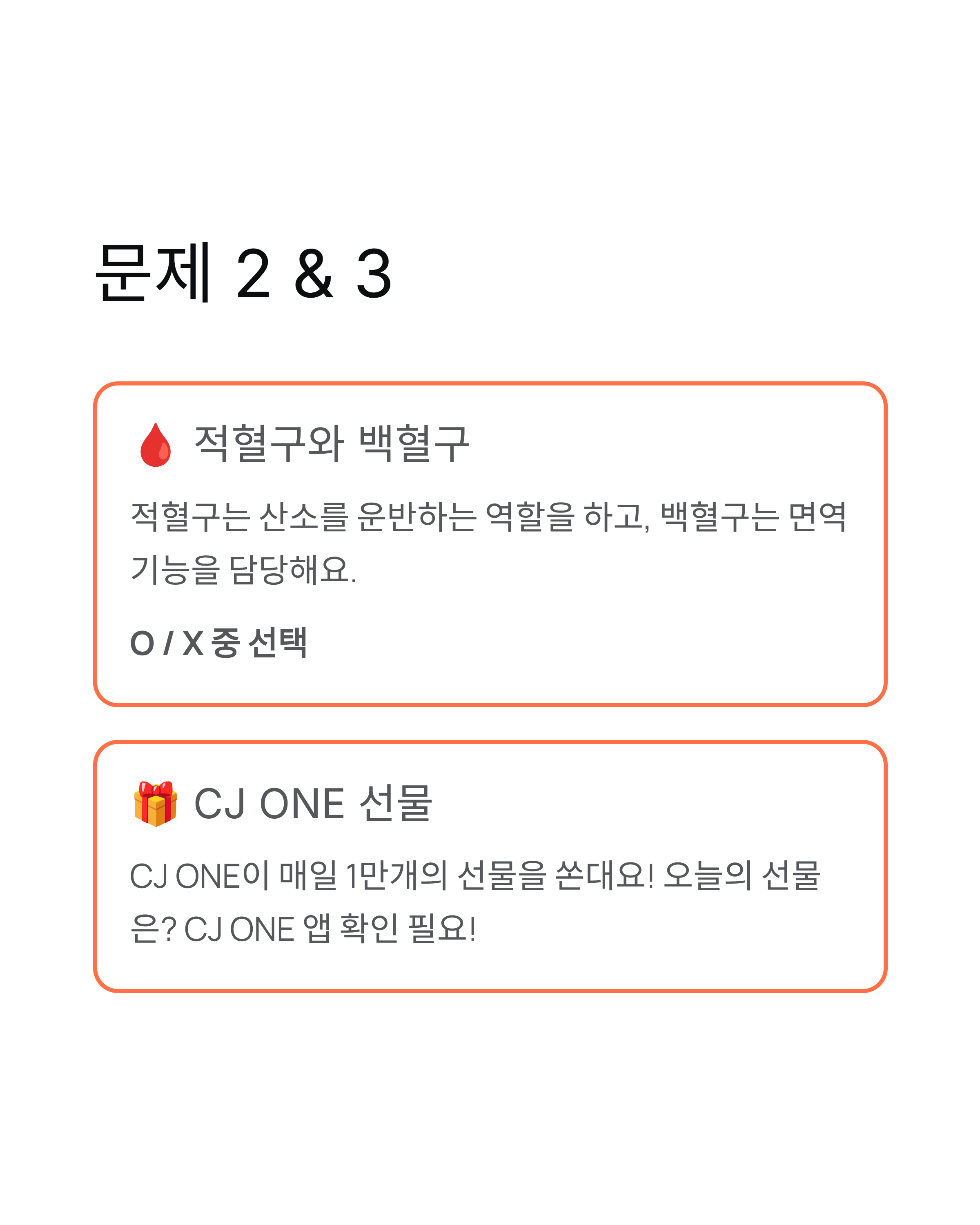 11월 20일 비트버니 퀴즈정답, 오늘의 문제 총정리!