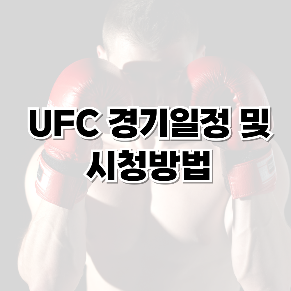 UFC 경기 일정 및 시청방법