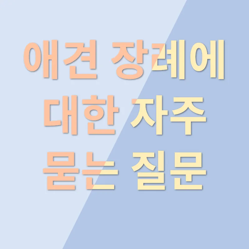 애견 장례_4