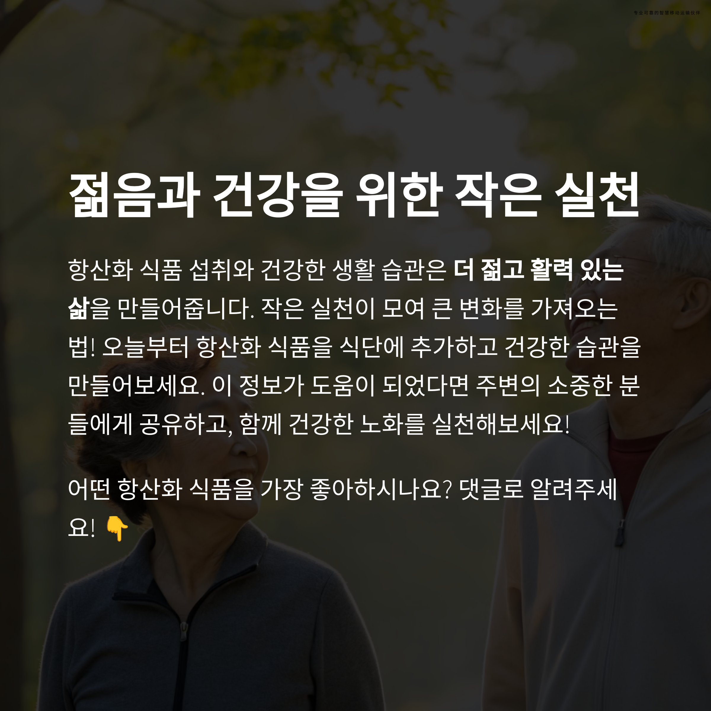 항산화물질12