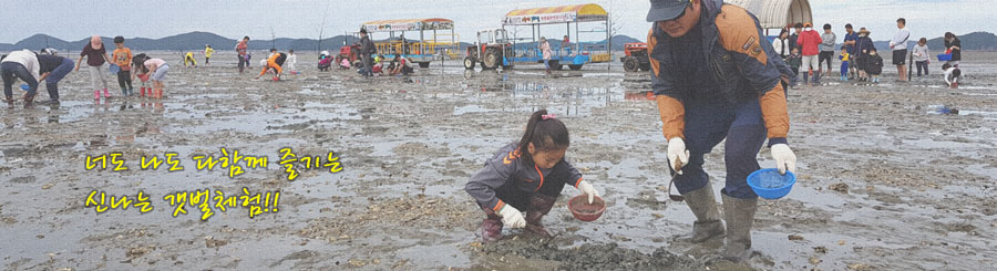 img src=&quot;https://example.com/images/father-daughter-clamming.jpg&quot; alt=&quot;아빠와 딸이 갯벌에서 바지락을 채집하는 모습&quot; style=&quot;width:100%; margin: 1.5em 0; border-radius: 8px;&quot;