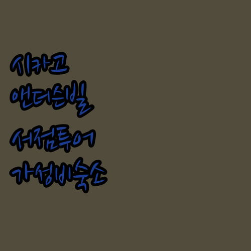 시카고 여행 앤더슨빌 중고 서점 투어..