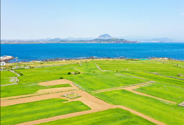 가파도 청보리축제 지도