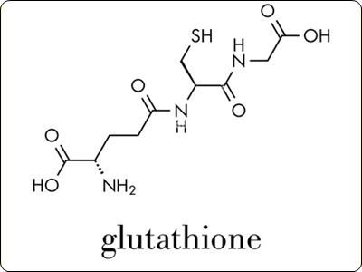 글루타치온 많이든 음식