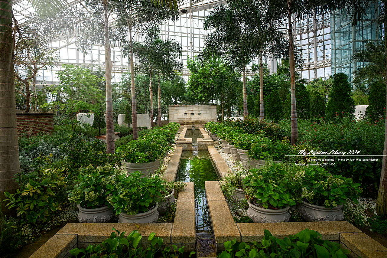 #식물 #나무 #수목원 #세종 #세종수목원 #피노키오