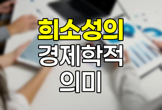 희소성의 경제학, 무한한 욕구와 한정된 자원의 균형