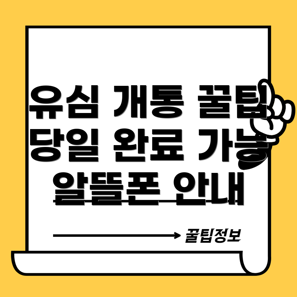 알뜰폰 유심