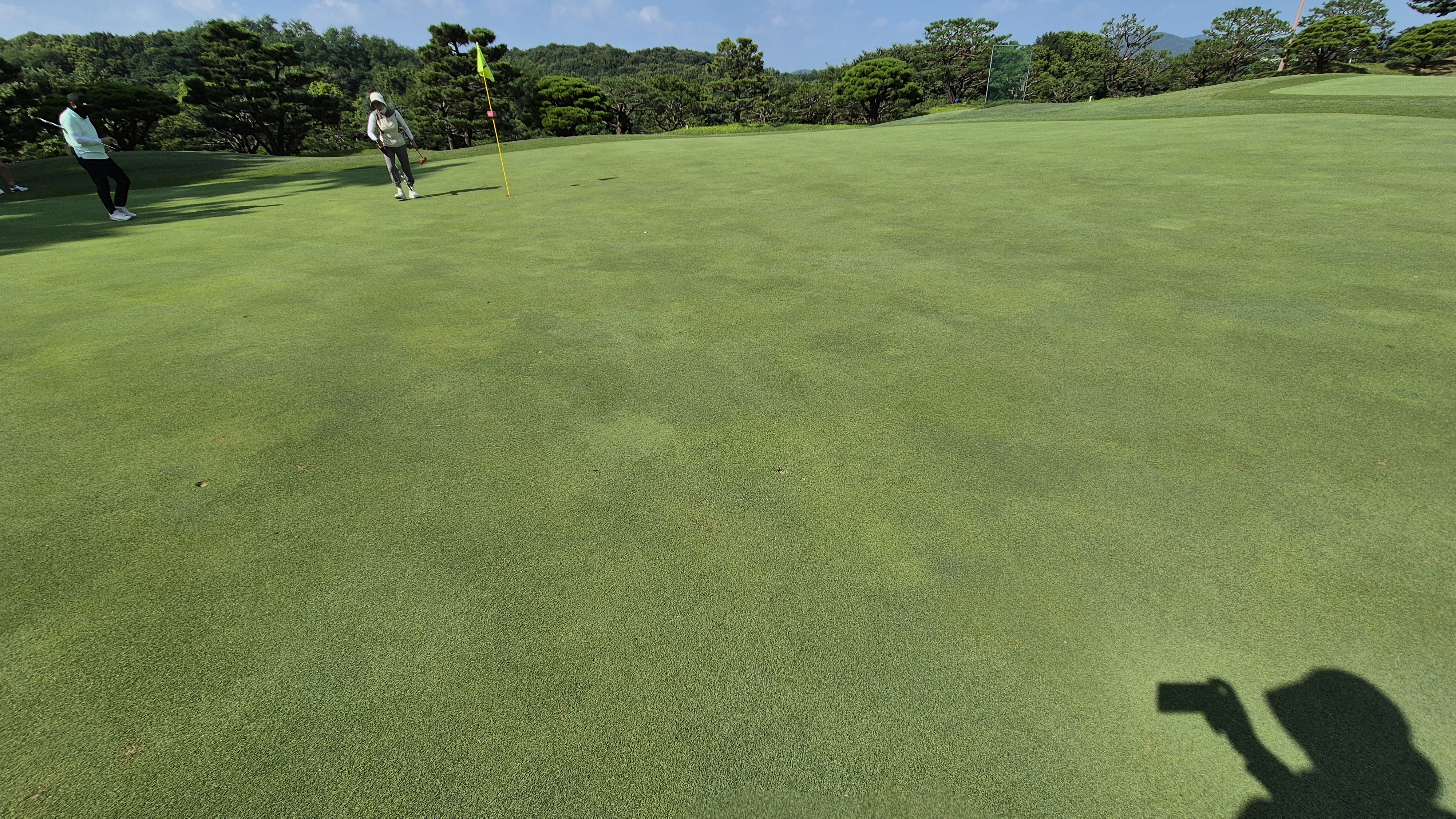 태광cc 북-서 코스 라운드 후기