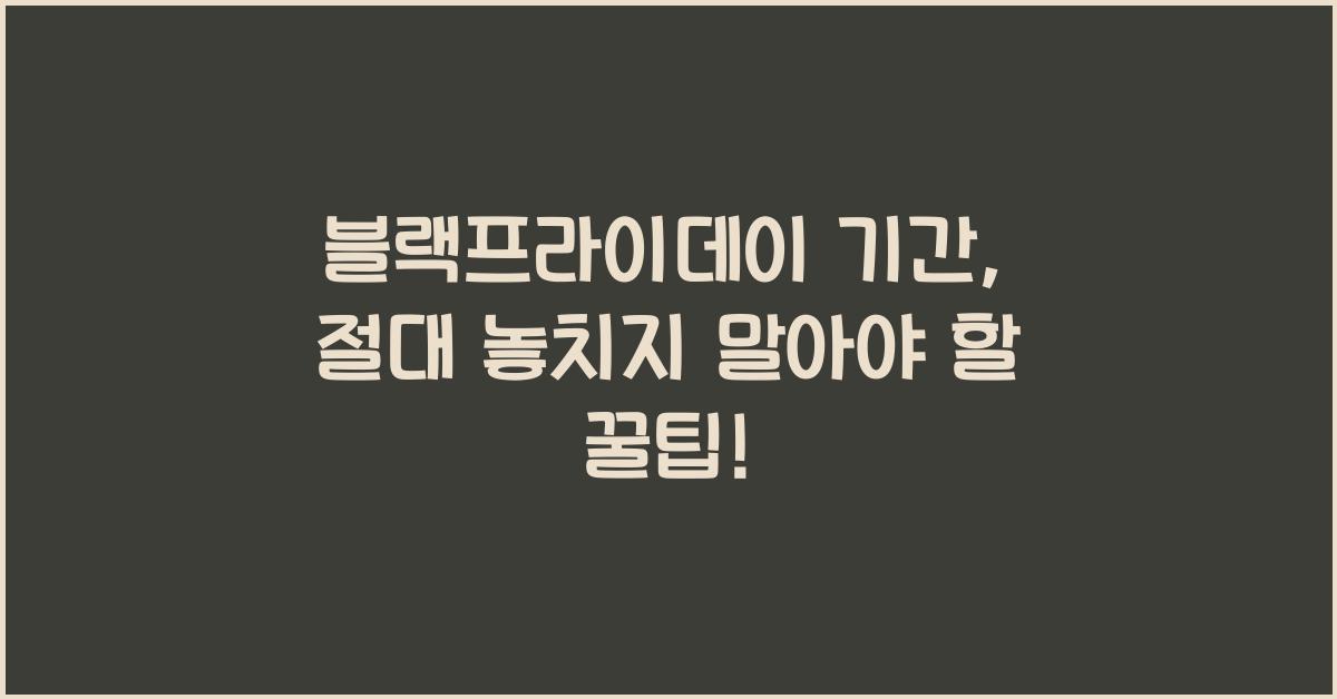 블랙프라이데이 기간