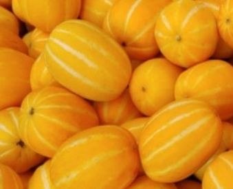 참외 효능 부작용