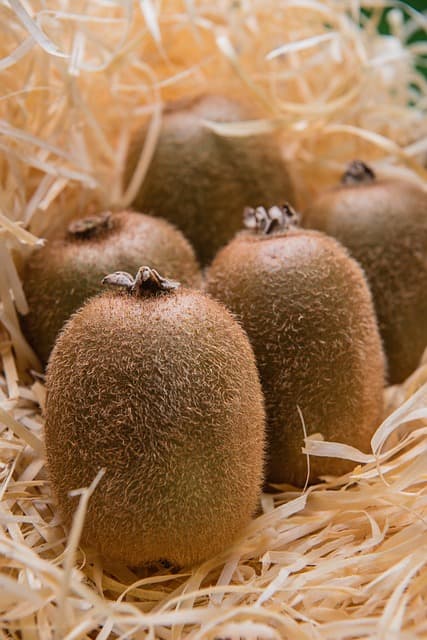 뉴질랜드산 슈퍼푸드 루비레드 키위 효능 5가지 총정리!