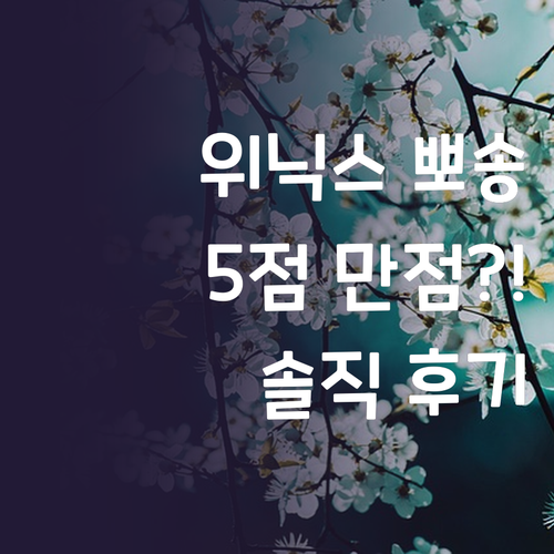 위닉스 뽀송 제습기, 왜 다들 5점 ..