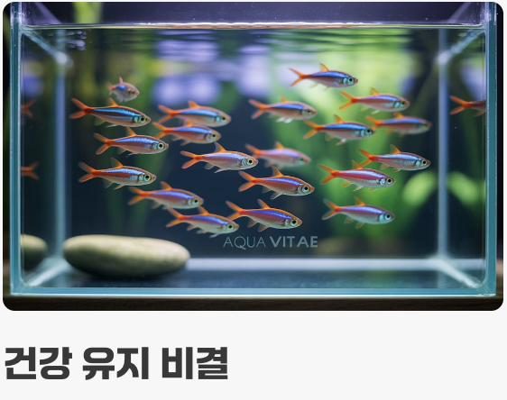 작은 입에 쏙! '먹이' 주는 요령