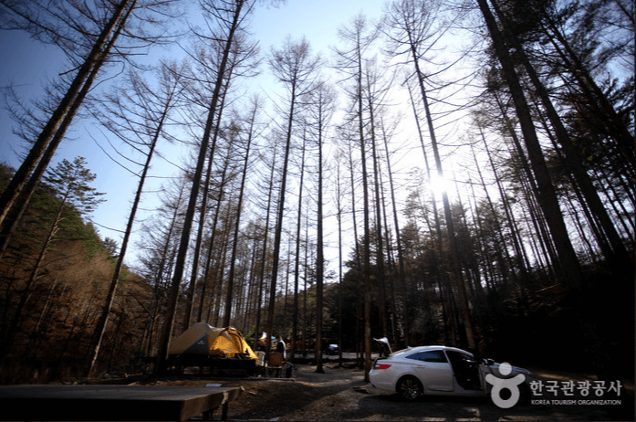 국립 청옥산 자연휴양림