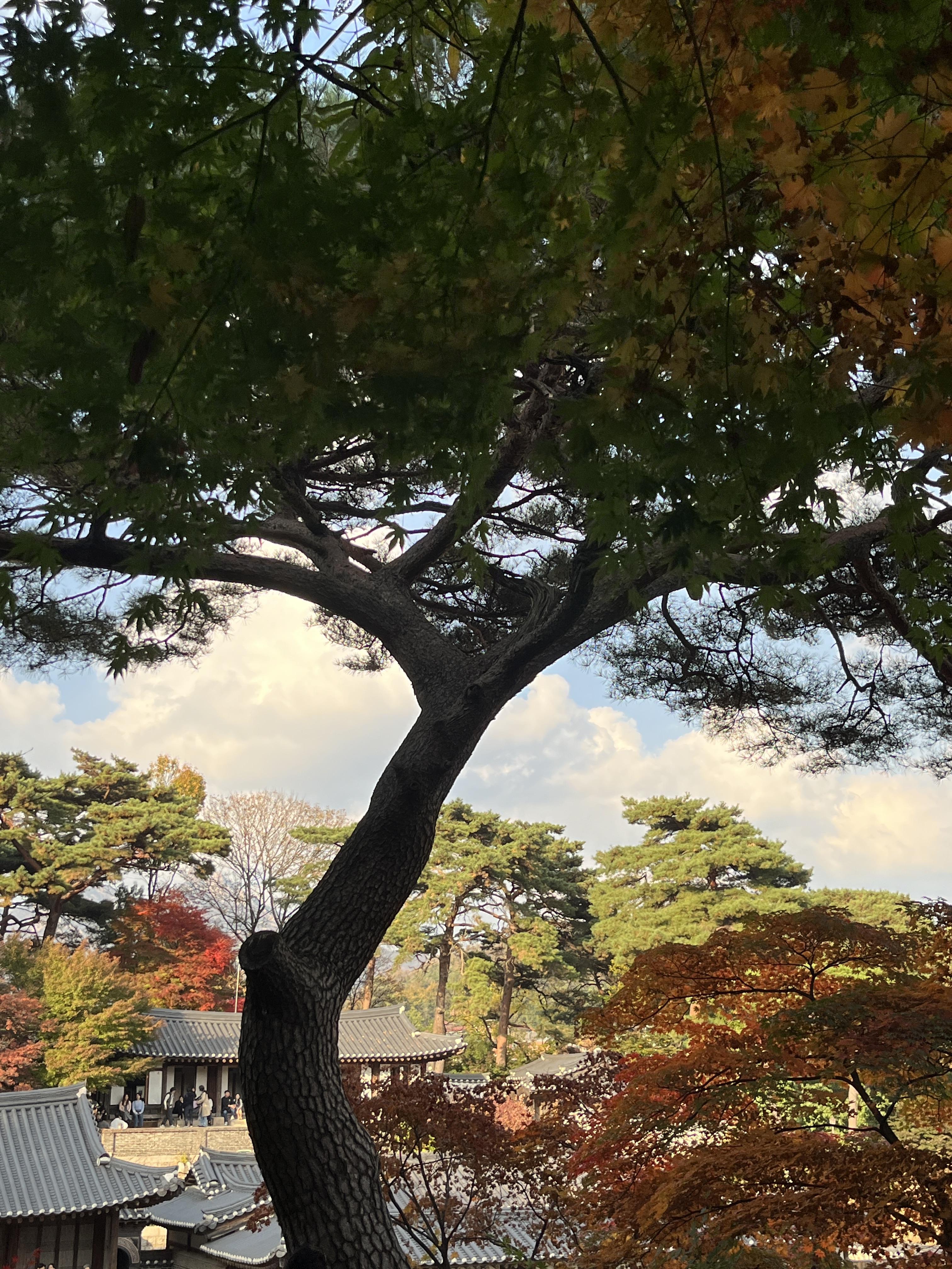 석파정