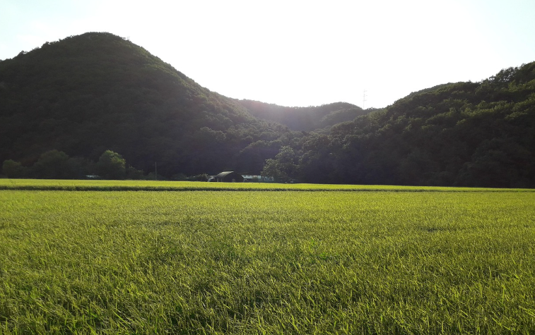 지목 변경 시기 추천