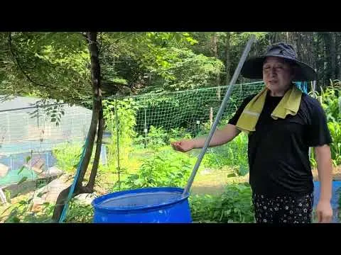 구더기 생기는 이유 방지 방법 정리_7