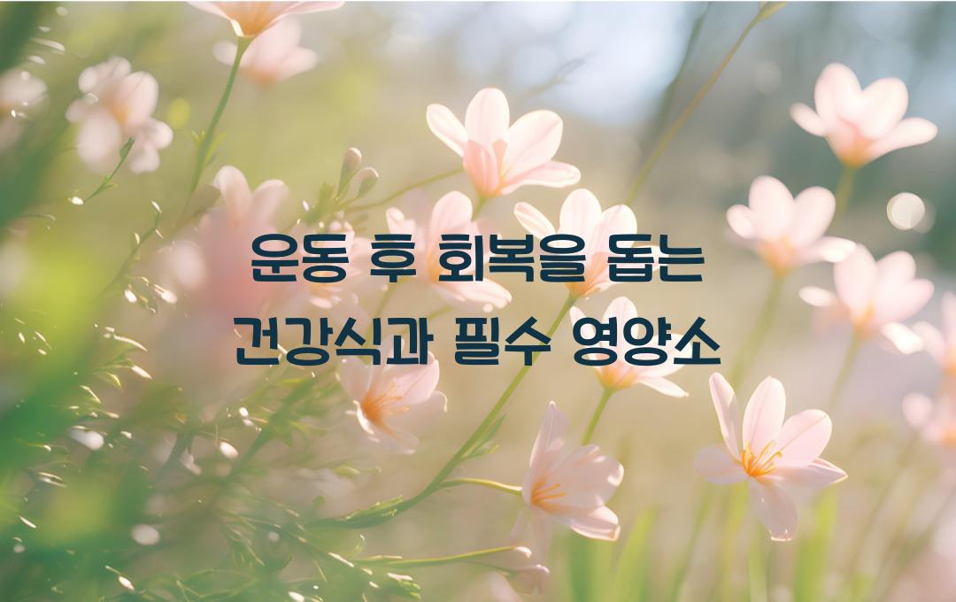 운동 후 회복을 돕는 건강식, 피로를 줄이는 필수 영양소