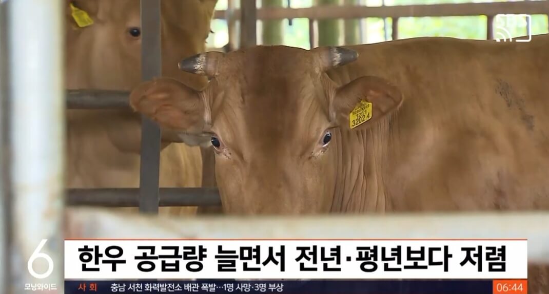 한우
