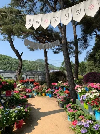 파주 가볼만한곳 맛집 카페 추천 가을 여행 코스_20