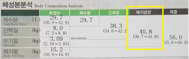 제지방량