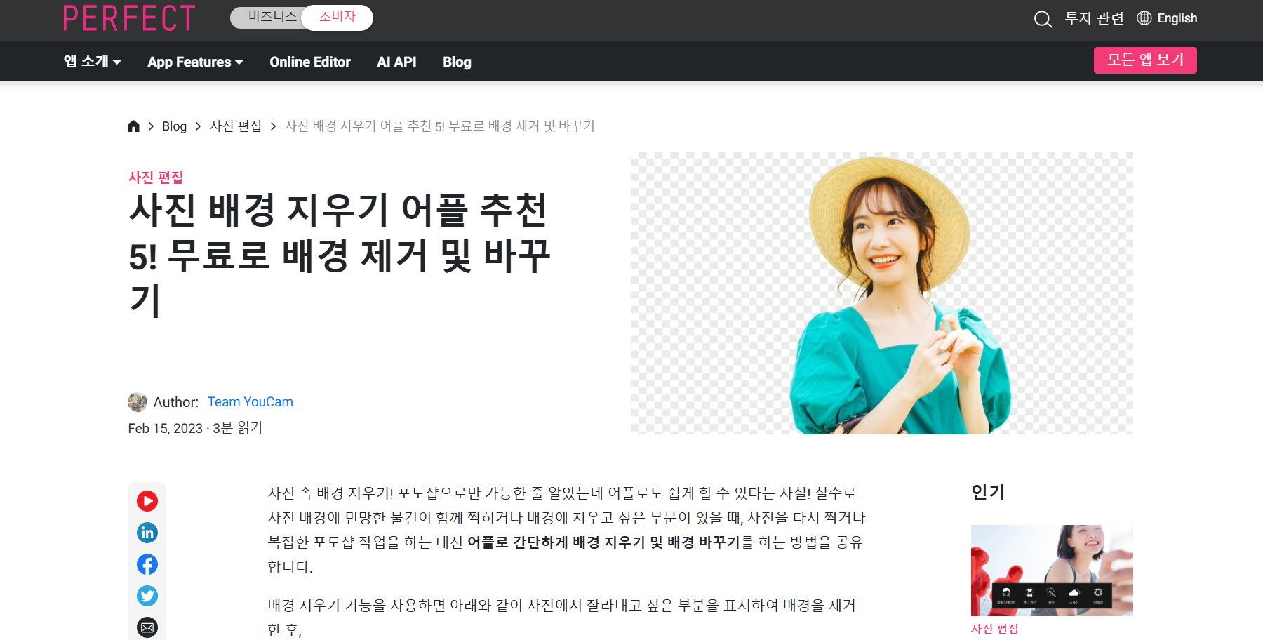 YouCam Perfect 홈페이지 화면