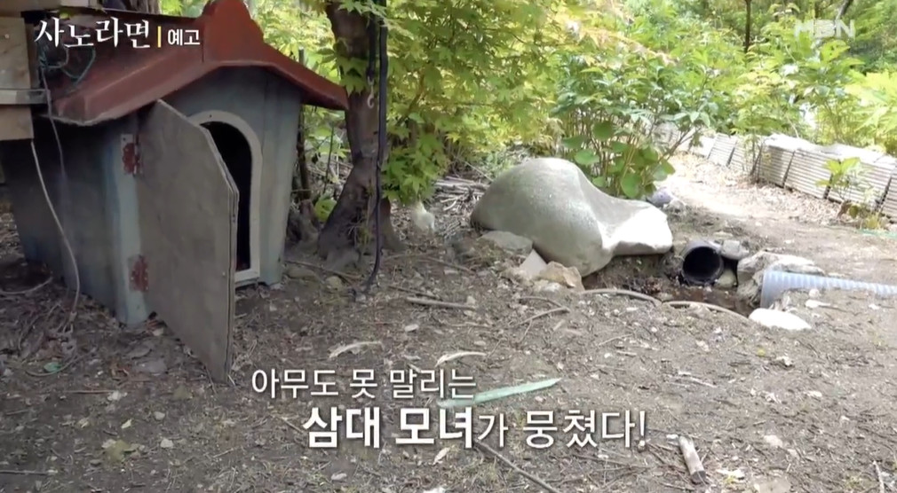 사노라면 구룡령 삼대모녀 식당