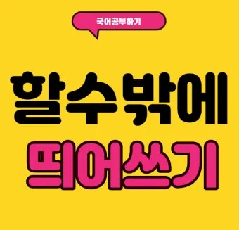 할 수 밖에 띄어쓰기 맞춤법 사용예시_2