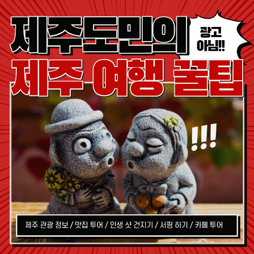 제주 현지인이 알려주는 제주도 여행 어플 '제주지니' (관광지도, 여행코스)