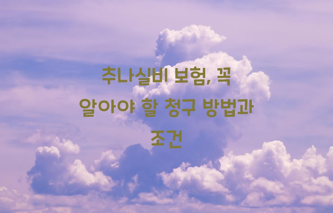 추나실비