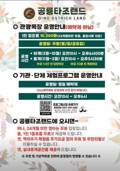 생방송오늘아침 이색체험카페 공룡타조랜드 경남 고성 가격 정보