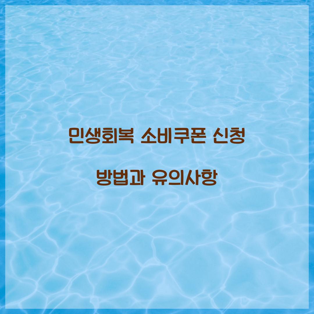 민생회복 소비쿠폰