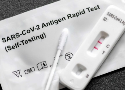 켄타우로스 변이