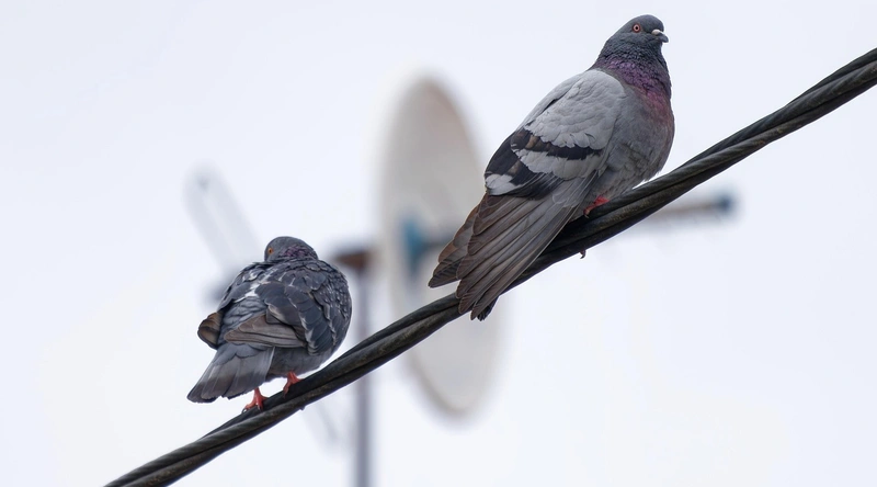 허용전류 보정계수