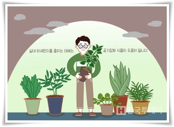 "실내 공기정화에 좋은 식물 Best 10" 공기정화 식물로 건강한 공간 만들기!
