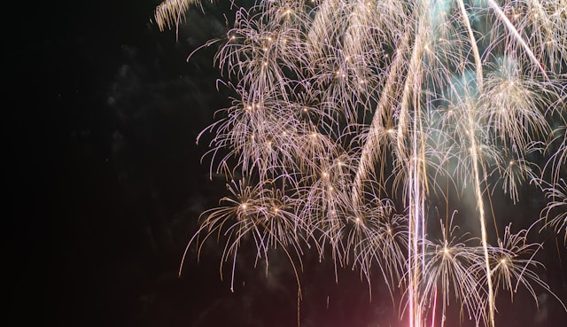 2025 여의도 서울세계불꽃축제 일정