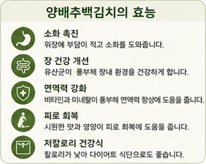 양배추백김치이미지