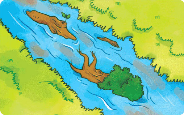 토석류-징조-강&middot;계곡의-흐름이-탁하고-나무가-흘러-내려감