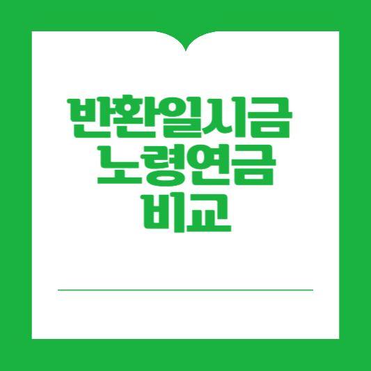 반환일시금 vs 노령연금