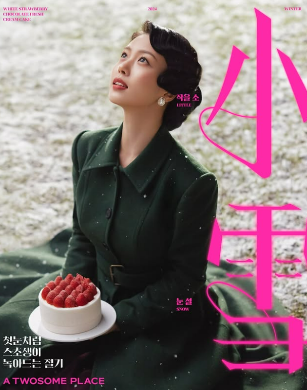 투썸플레이스 크리스마스 케이크 종류