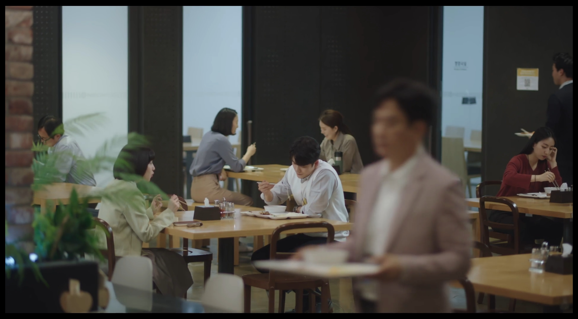 이상한 변호사 우영우 드라마 촬영지 (팽나무, 웨딩, 낙조, 제주도) 제주 돌고래 출몰지역 스팟